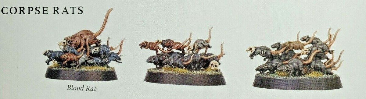 Warhammer Age Of Sigmar Corpse Rats – Warhammer Soulblight Gravelords Skaven Rat Swarms X3 462189 - Foto 8