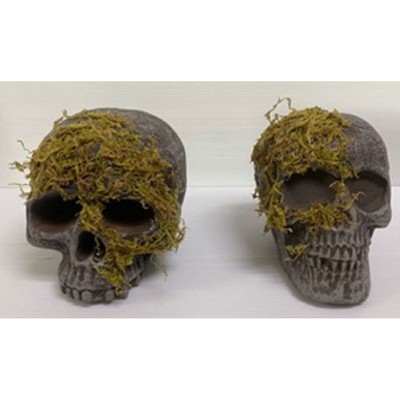 Skull Moss Covered No Jaw - Fun World
