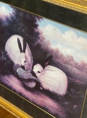 Two Himalayan Rabbits, Vintage Framed Lithograph by P. Rolence with ...