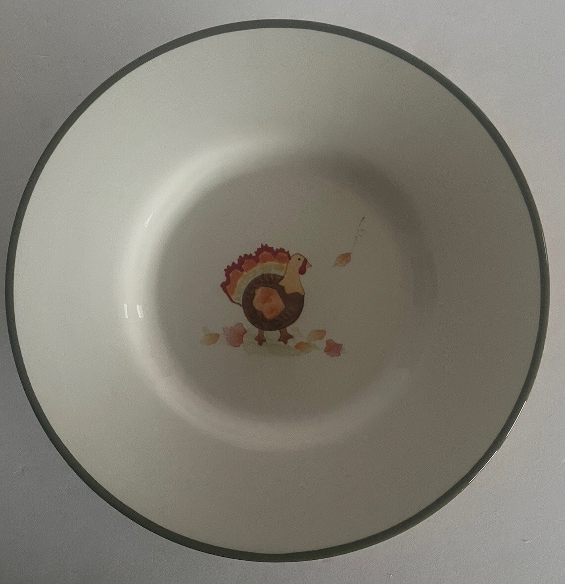 POTTERY BARN KIDS SET OF 4 TURKEY CHASING BUTTERFLY CERAMIC 10" DINNER