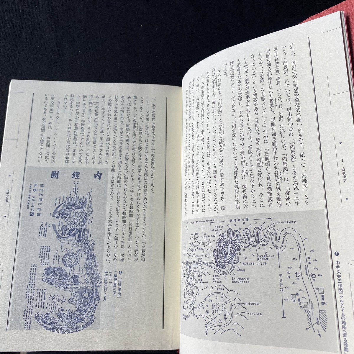 奇景の図像学 綺想迷画大全 中野美代子 人間の想像力 視る快楽