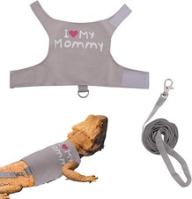 Bearded Dragon Leash and Harness Set, Cute Adjustable Lizard Reptile Harness ...