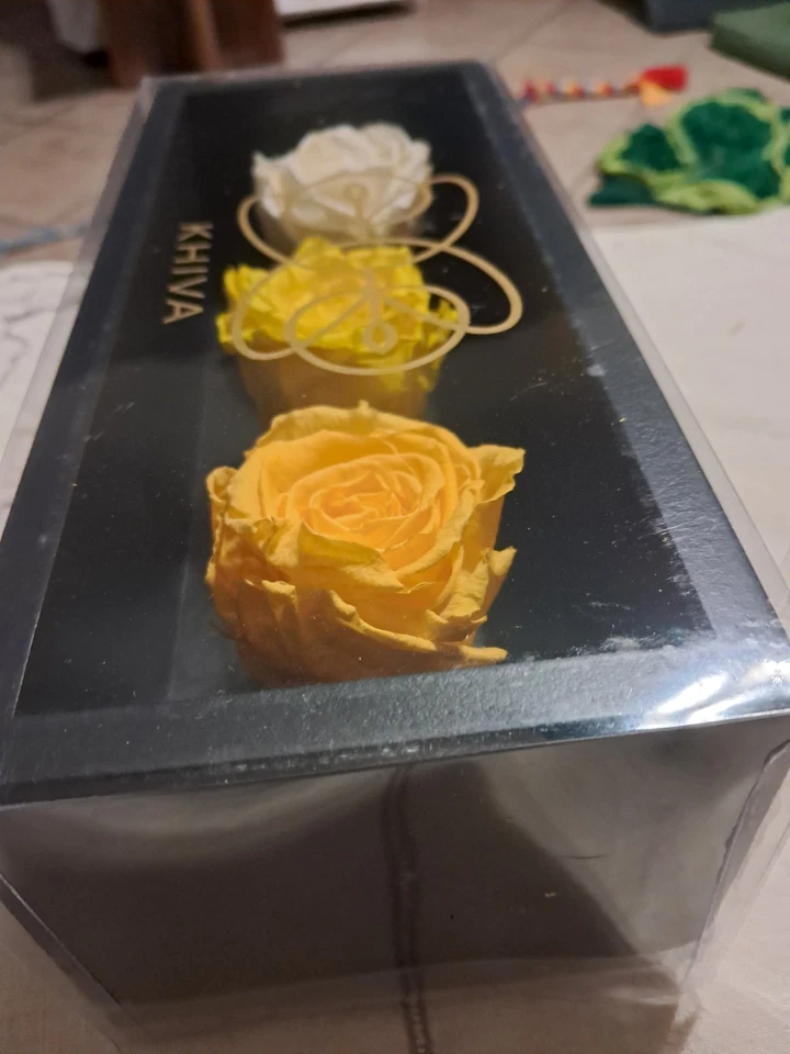 Khiva 3 brotes de rosas preservadas AMARILLO, PÁLIDO, BLANCO 9"×4"×3" en caja de madera Foto 2 de 4