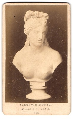 Fotografie Rom, Büste Venus vom Capitol 