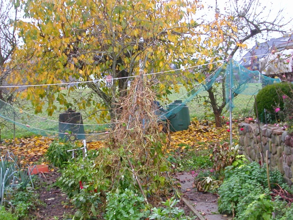 Berufsfischreuse XXL Doppel Reuse 1450 X 55 cm Aalreuse Karpfen Krebs Köderfisch - Bild 3 von 4