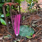 Picture 5 of 8