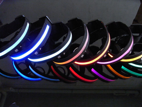 LED Glow Collar Dog Puppy Pet Flashing Light Safety Glow In The Dark FAST POST - Picture 71 of 81