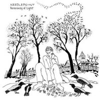 Remnants Of Light | Needlepoint | Audio-Cd | Cd | 2025 | 375 Media Gmbh