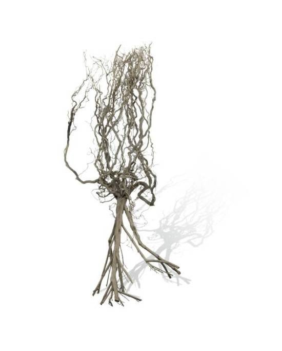 Racine Naturebrousse Aquavie contre le décor artificiel : bois naturel ultra-ramifié
