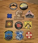 Lot of 11 Assorted Vintage USA Military Patches WW2 VIETNAM LUNA EARTH FORCE  i