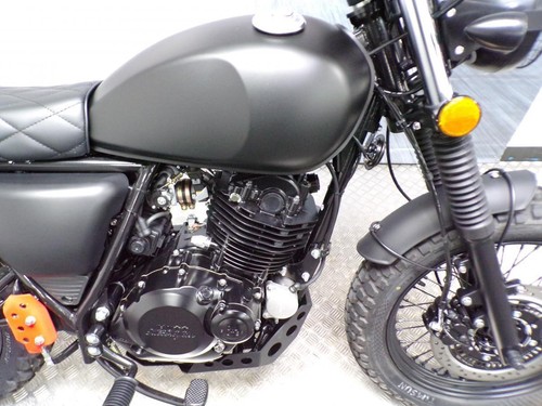 2022 MUTT FAT SABBATH 250 WITH ONLY 219 MILES FROM NEW - Picture 4 of 20