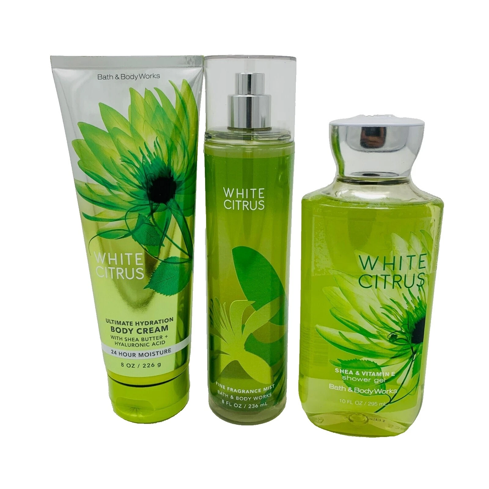Bath & Body Works Citrus Scent Bath & Body