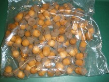 Bag full of Acorns for Fall Display
