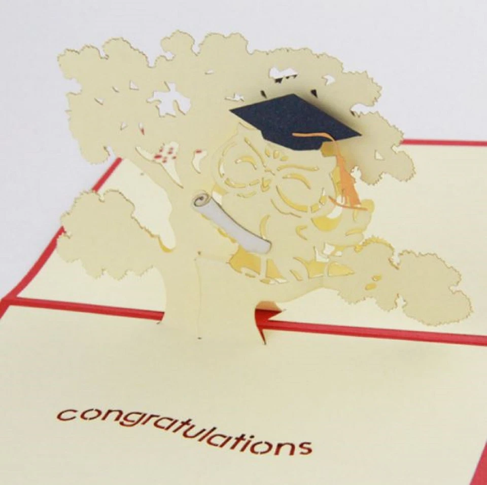 BC Worldwide Ltd handmade 3D pop up card Owl graduation congratulations hats off - Image 2 of 4
