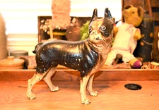ANTIQUE HUBLEY BLACK BROWN & CREAM CAST IRON BOSTON TERRIER DOG STATUE DOORSTOP