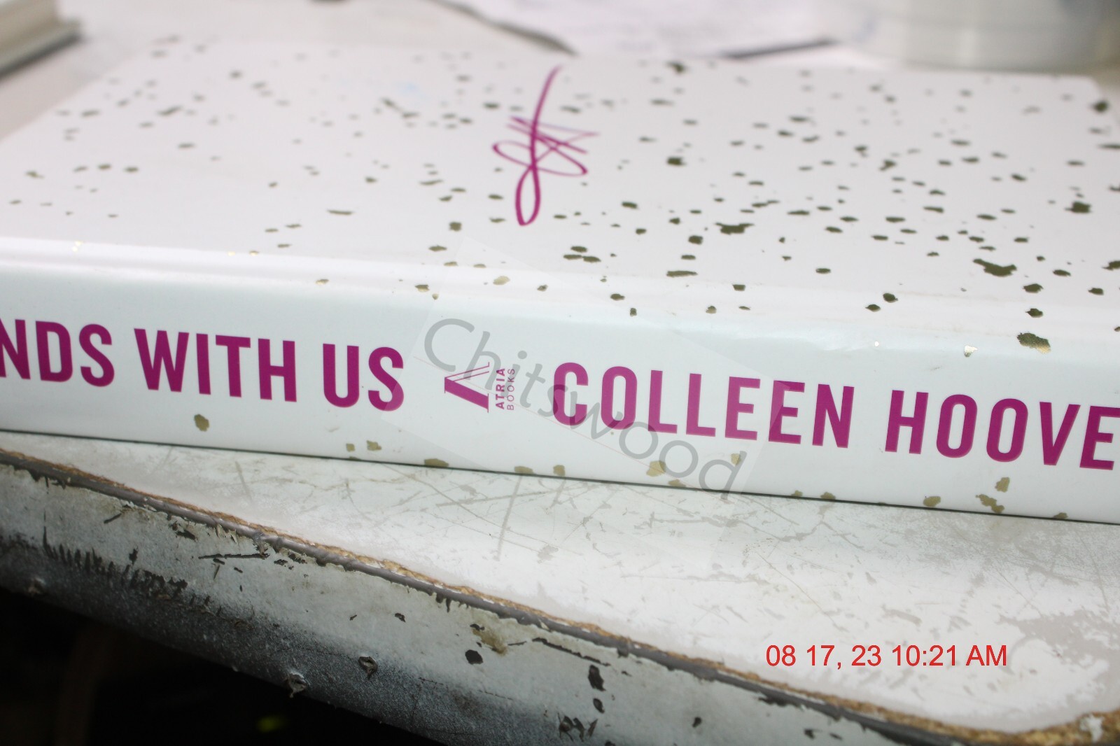 It Ends with Us Ser.: It Ends with Us: Special Collector's Edition : A