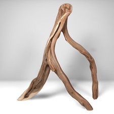 16.25" Manzanita Driftwood Branch: Reptile Habitat, Aquascaping Decor