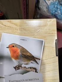 LEGO Ideas: Birds (21301) Brand New in Factory Sealed Box 580 pcs.