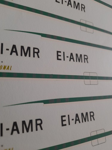Calcomanías de avión de avión 1:200 Aer Lingus tobogán acuático Carvair Atl-98 repuestos - Imagen 7 de 7