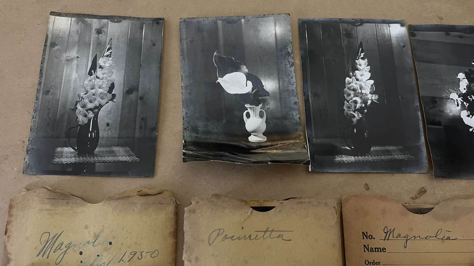 VTG Lot 4x5” Large Format 150+ B&W Photo Negatives Lot FLOWERS 1950s Damaged COA