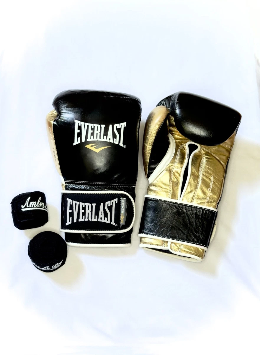 Everlast 16 oz. Weight Boxing Gloves for sale - eBay