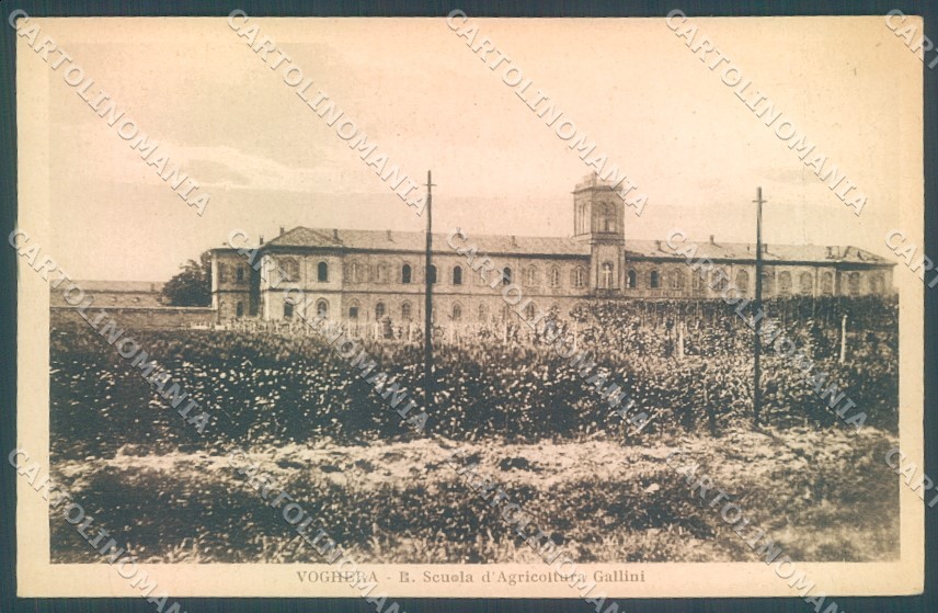 Pavia Voghera Scuola Agricoltura Gallini Modiano 21335 cartolina JK1387