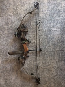 Details About Golden Eagle Evolution Xtr Compound Bow With Hard Case And Arrows