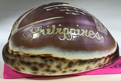 CARVED COWRIE TIGRIS SEASHELL PHILIPPINES SOUVENIR PALM TREE SEAGULLS & ISLAND