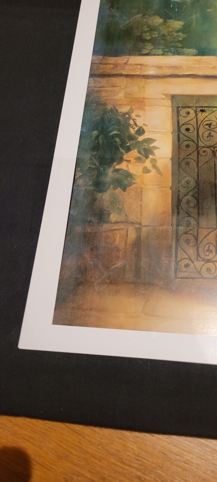 Picture 12 of 24