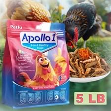 6-in-1 Poultry Treat Mix 5LB High-Protein Mealworms, BSFL, Krill, Sunflower Seed