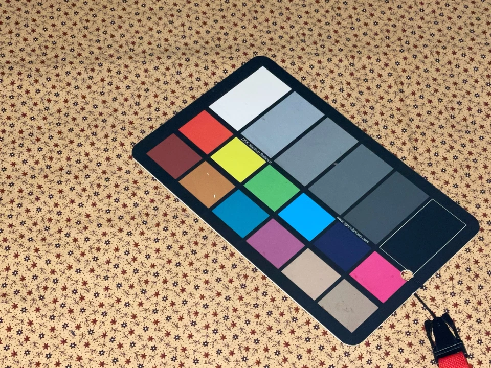 2/3 码复古小花卉印花雏菊深红色棕色棉织物 Springs 出品 — 第 4/4 张图片