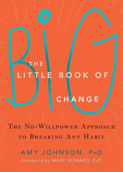 Amy Johnson | The Little Book Of Big Change | Taschenbuch | Englisch (2016)-image