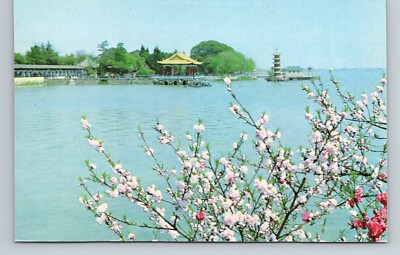 Postcard China Li Yuan Spring Comes To Li Yuan Li Garden