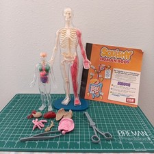 SMARTLABS TOYS SQUISHY HUMAN BODY SKELETON 12...
