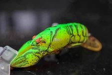 NEON GREEN ORANGE  Rebel Teeny Wee Crawfish Crawdad Crankbait FISHING Lure