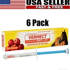 EXP 1/2028 -6 Pack In Box Paste Horse Dewormer Apple Flavor wormer