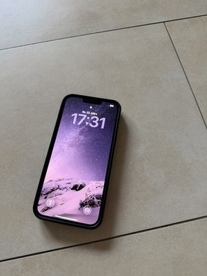 iPhone 13 Pro Max 256GB Blau