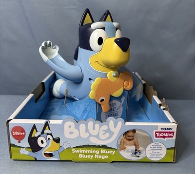 Bluey Swimming  Bluey