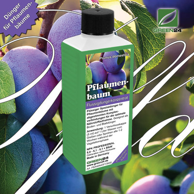 Pflaumenbaum-Dünger   Prunus domestica NPK Flüssigdünger 250ml