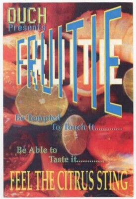 fruitie @ Mr B's Rose Hill Willenhall Wolverhampton Rave Flyer
