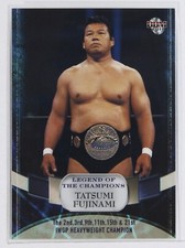 TATSUMI FUJINAMI No.16 - 2011 BBM Pro-Wrestling Trading Card