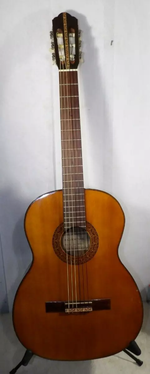 Sears guitar brands deals