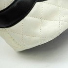 Picture 6 of 10