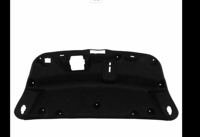 Genuine Ford OE Panel Asy - Door Trim DP5Z-5445594-AB  Tailgate Ebony