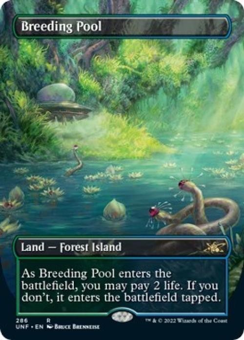 MTG English Breeding Pool (Borderless) NM Foil Unfinity
