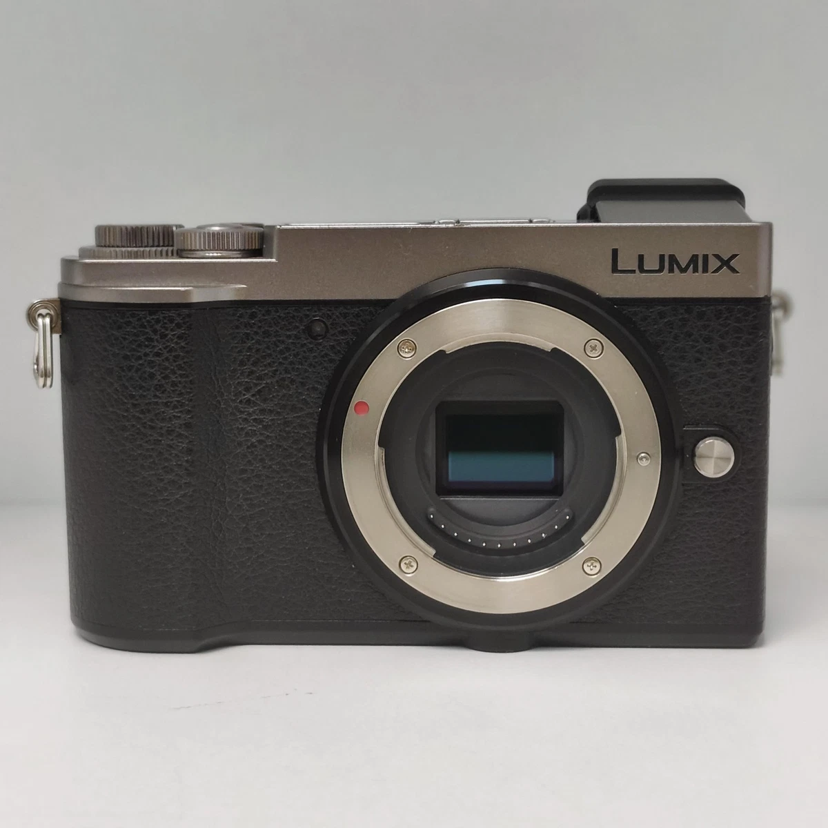 Panasonic LUMIX GX9 Panasonic LUMIX Digital Cameras for sale | eBay