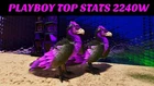🔥ARK Survival Ascended PvE PC/XBOX/PS5 Top Stats Argentavis 2240w (argy) ASA