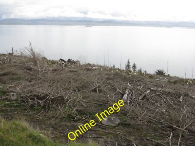 Foto 12x8 Abholzung Jura Lagg\/NR5978 Kahlfällung Nadelbaum um 2014