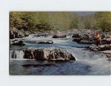 Postcard Rapid Action