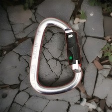 Petzl WILLIAM Ball-Lock carabiner